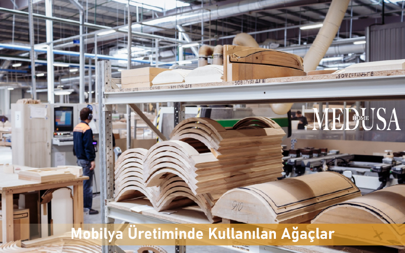 Mobilya Üretiminde Kullanılan Ağaçlar