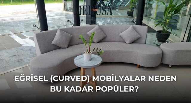 Eğrisel (Curved) Mobilyalar Neden Bu Kadar Popüler?