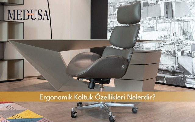 Ergonomik Koltuk Özellikleri Nelerdir?
