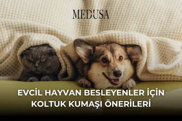 Evcil Hayvan Besleyenler İçin Koltuk Kumaşı Önerileri
