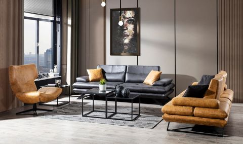 Medusa Home - Polo Black Koltuk Takımı